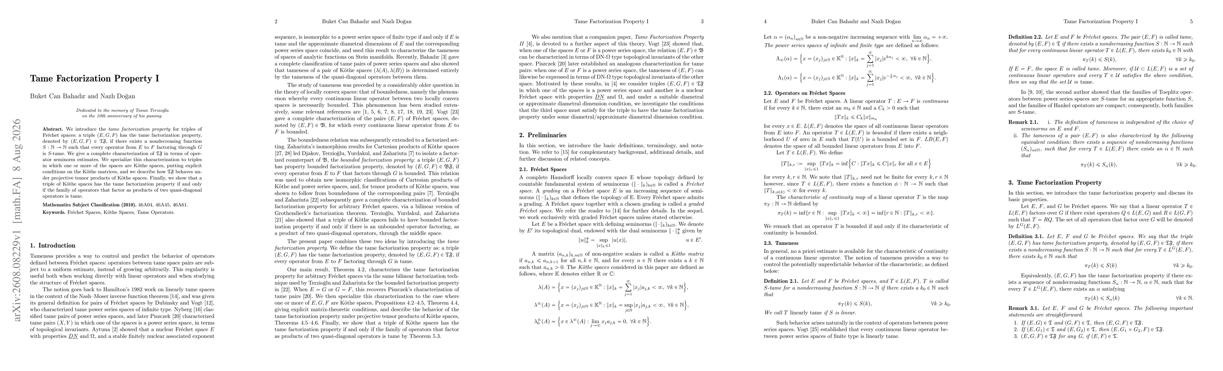 Thumbnail for Tame Factorization Property I