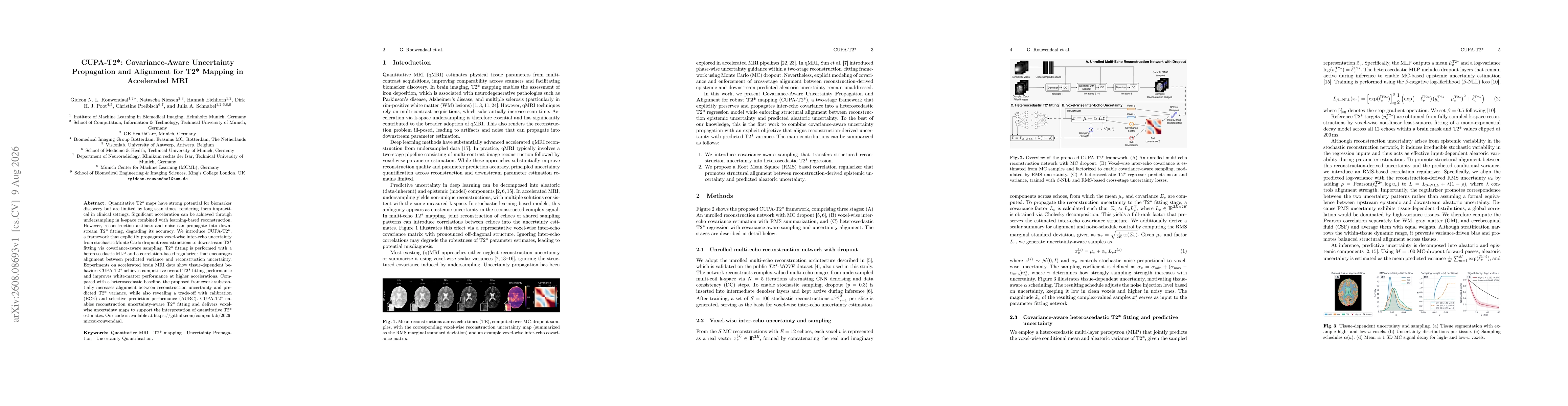 Thumbnail for CUPA-T2*: Covariance-Aware Uncertainty Propagation and Alignment for T2* Mapping in Accelerated MRI
