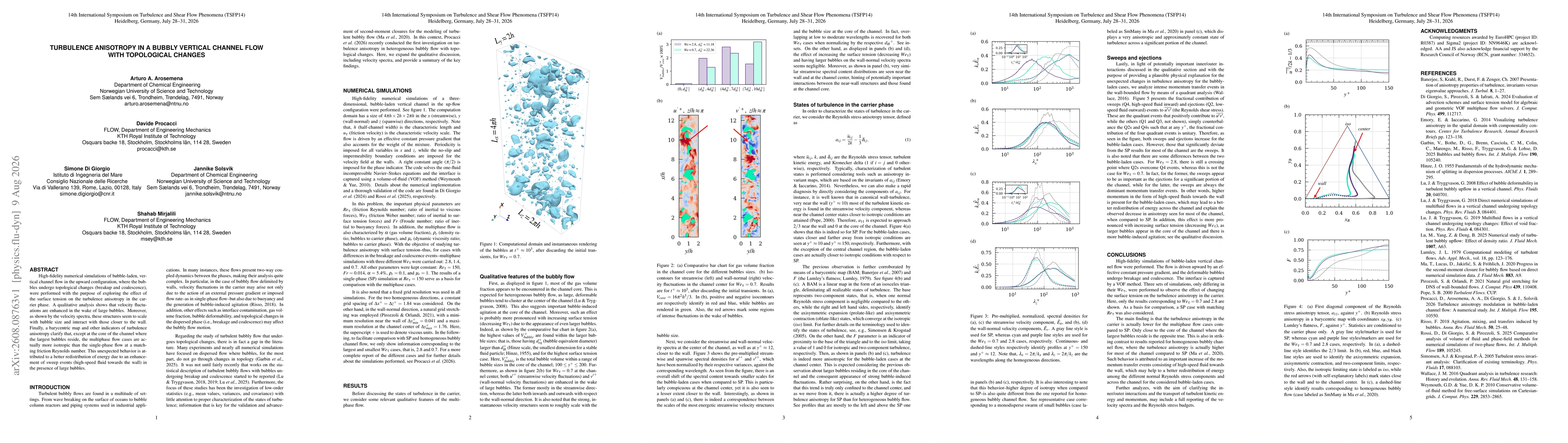 Thumbnail for Turbulence anisotropy in a bubbly vertical channel flow with topological change