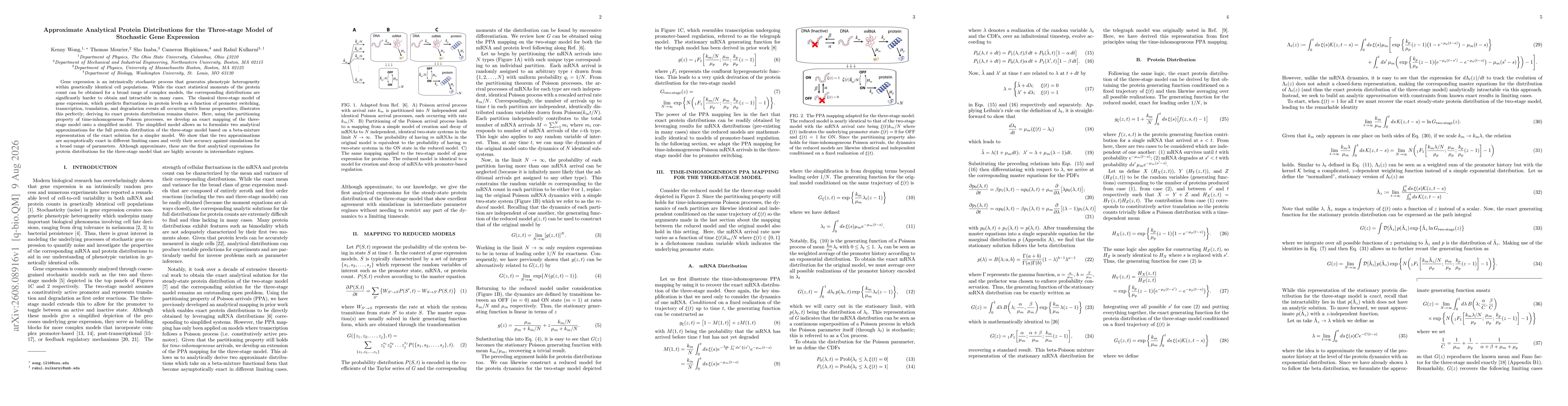 Thumbnail for Approximate Analytical Protein Distributions for the Three-stage Model of Stochastic Gene Expression