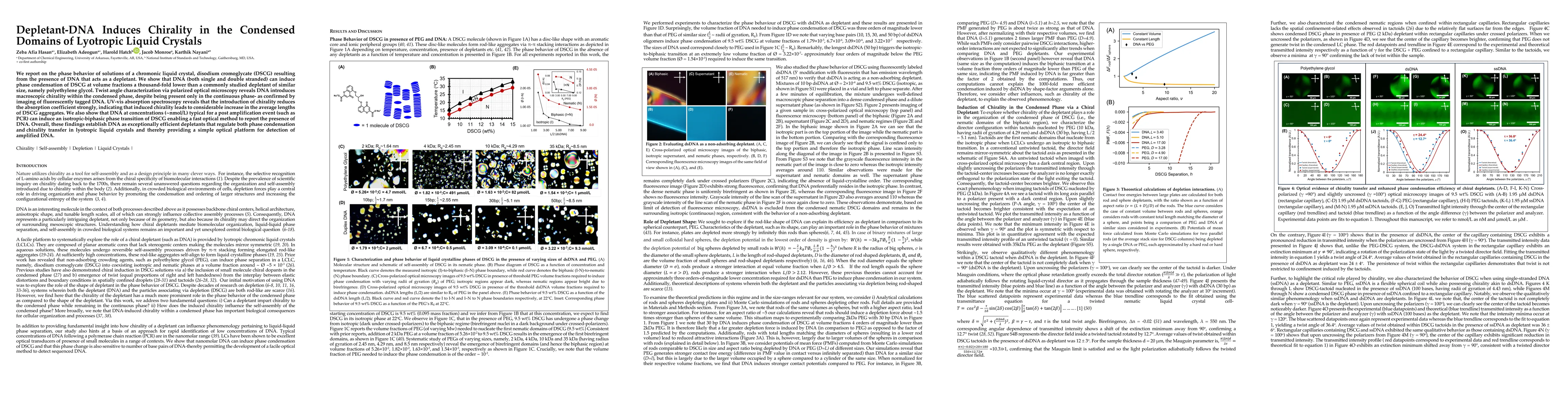 Thumbnail for Depletant-DNA Induces Chirality in the Condensed Domains of Lyotropic Liquid Crystals