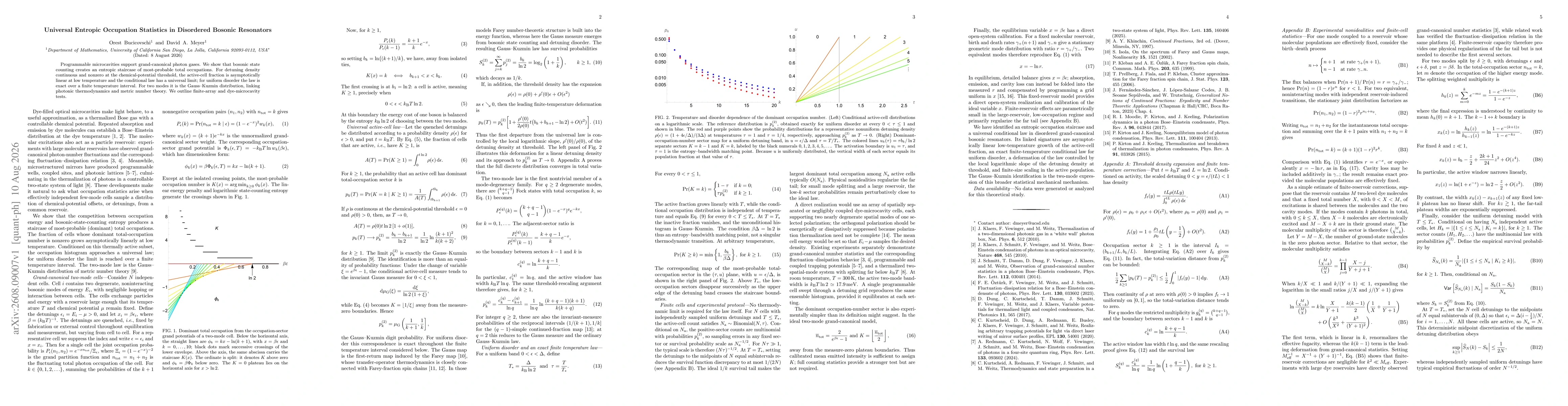 Thumbnail for Universal entropic occupation statistics in disordered bosonic resonators