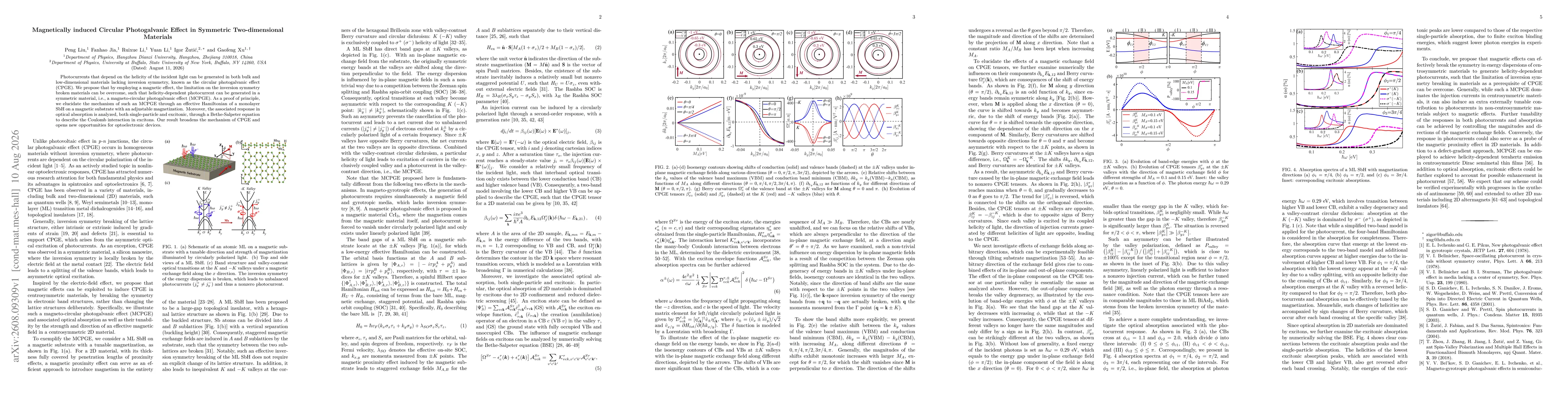 Thumbnail for Magnetically induced Circular Photogalvanic Effect in Symmetric Two-dimensional Materials