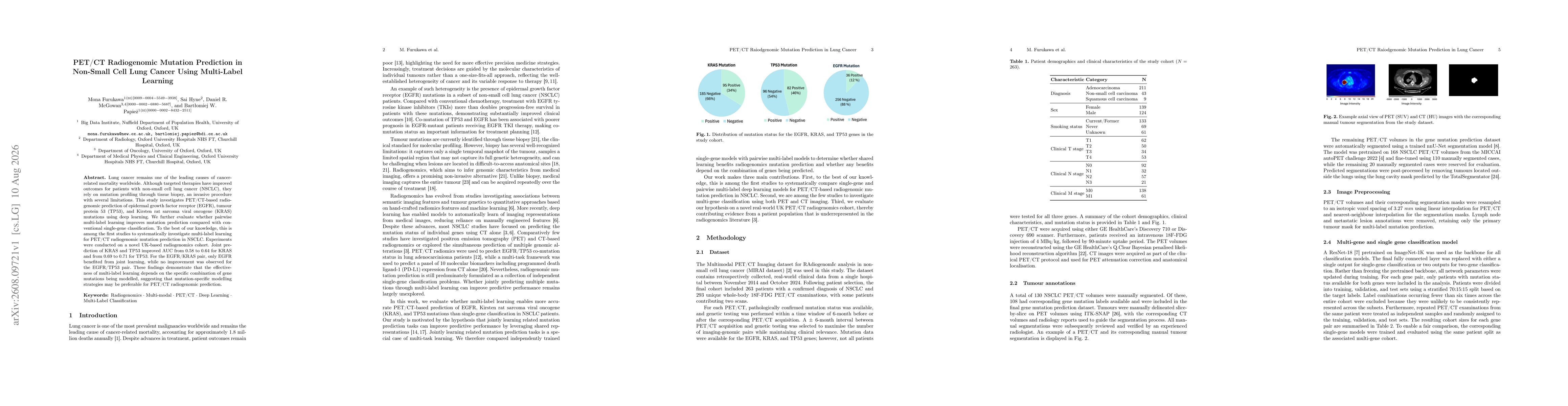 Thumbnail for PET/CT Radiogenomic Mutation Prediction in Non-Small Cell Lung Cancer Using Multi-Label Learning