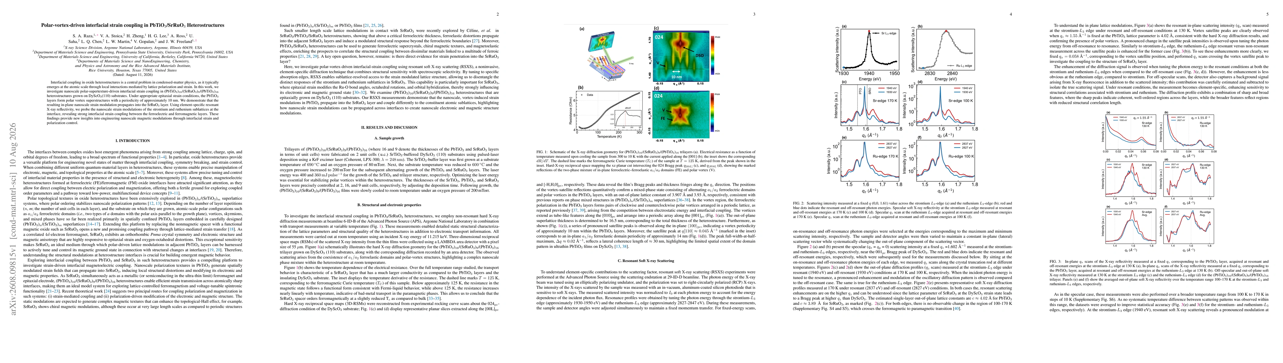 Thumbnail for Polar-vortex-driven interfacial strain coupling in PbTiO3/SrRuO3 Heterostructures
