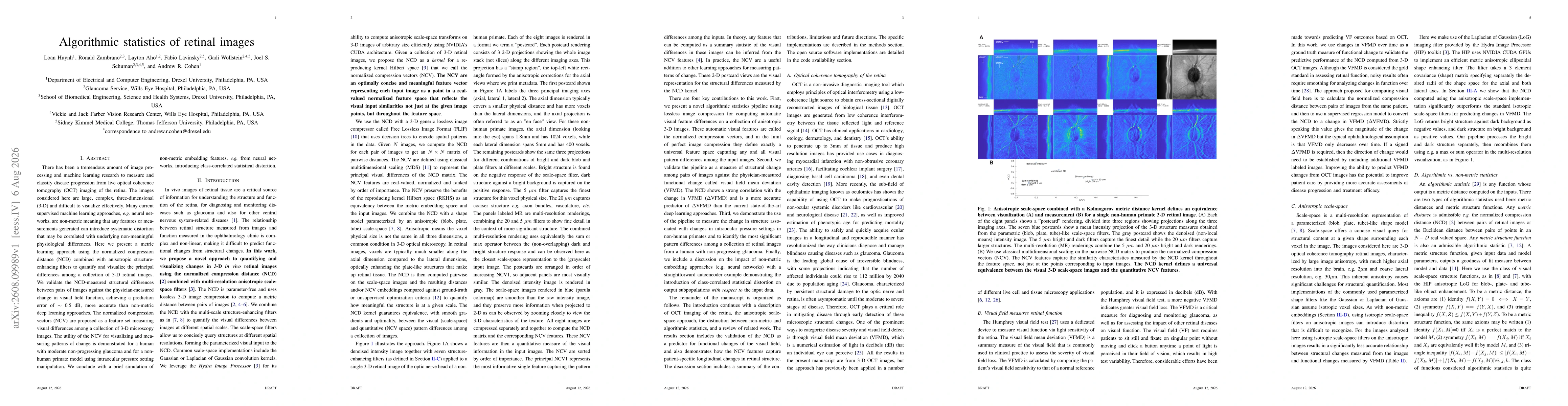 Thumbnail for Algorithmic statistics of retinal images