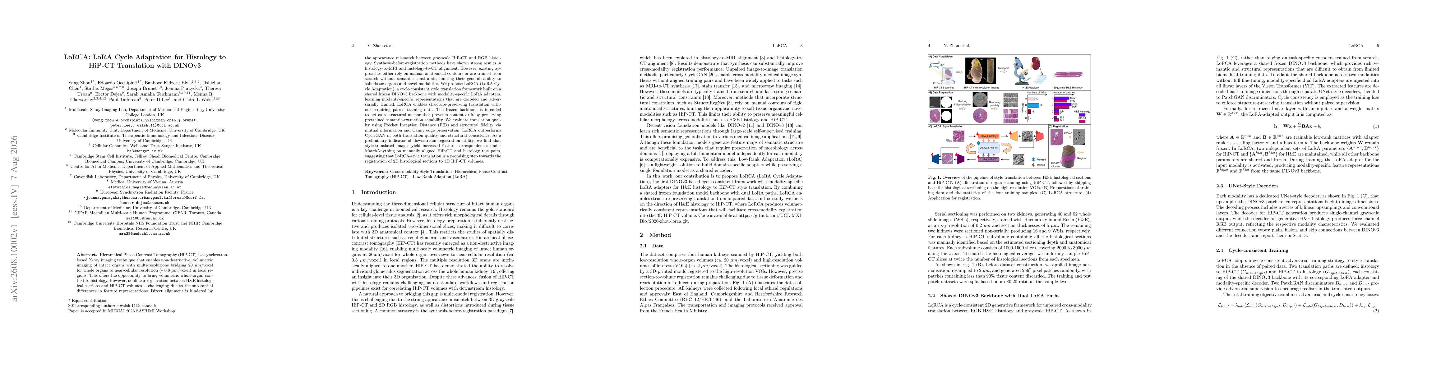 Thumbnail for LoRCA: LoRA Cycle Adaptation for Histology to HiP-CT Translation with DINOv3