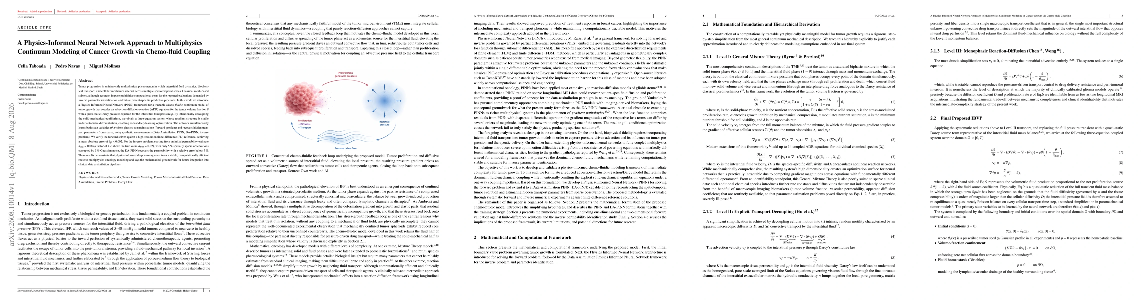 Thumbnail for A Physics-Informed Neural Network Approach to Multiphysics Continuum Modeling of Cancer Growth via Chemo-fluid Coupling