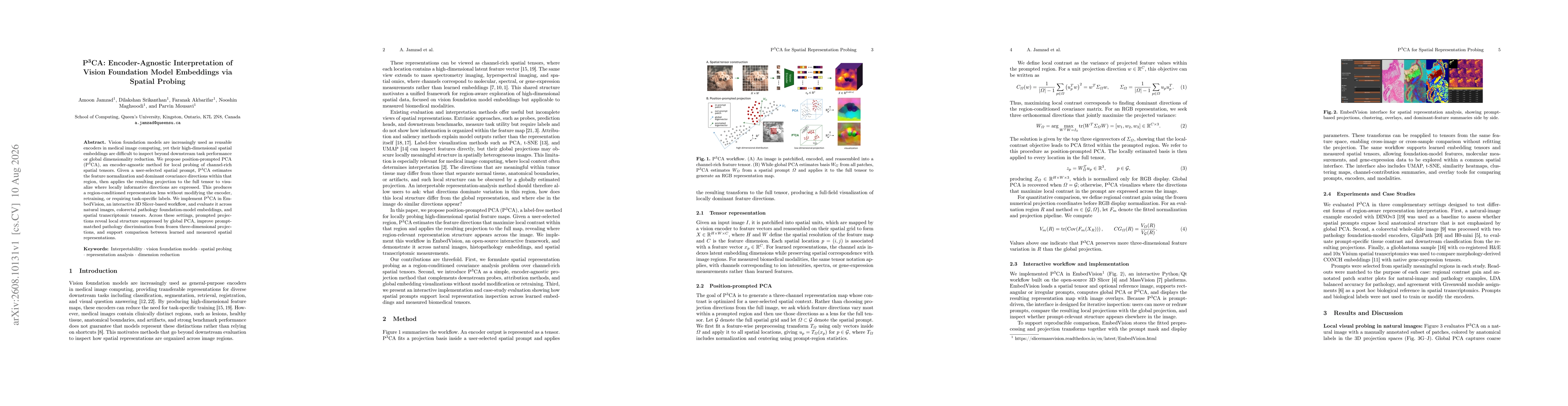Thumbnail for P3CA: Encoder-Agnostic Interpretation of Vision Foundation Model Embeddings via Spatial Probing