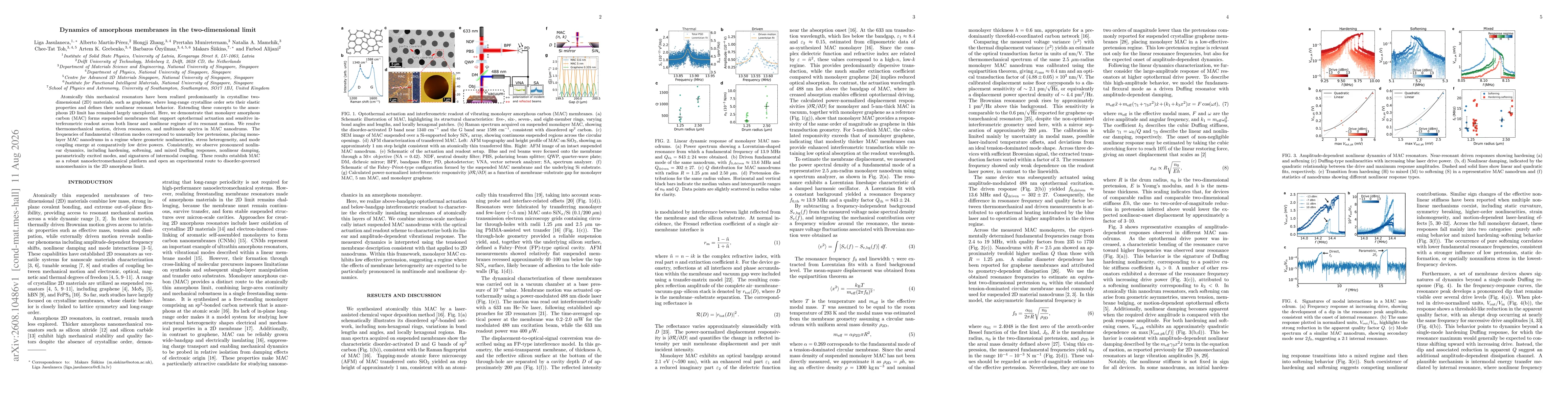 Thumbnail for Dynamics of amorphous membranes in the two-dimensional limit