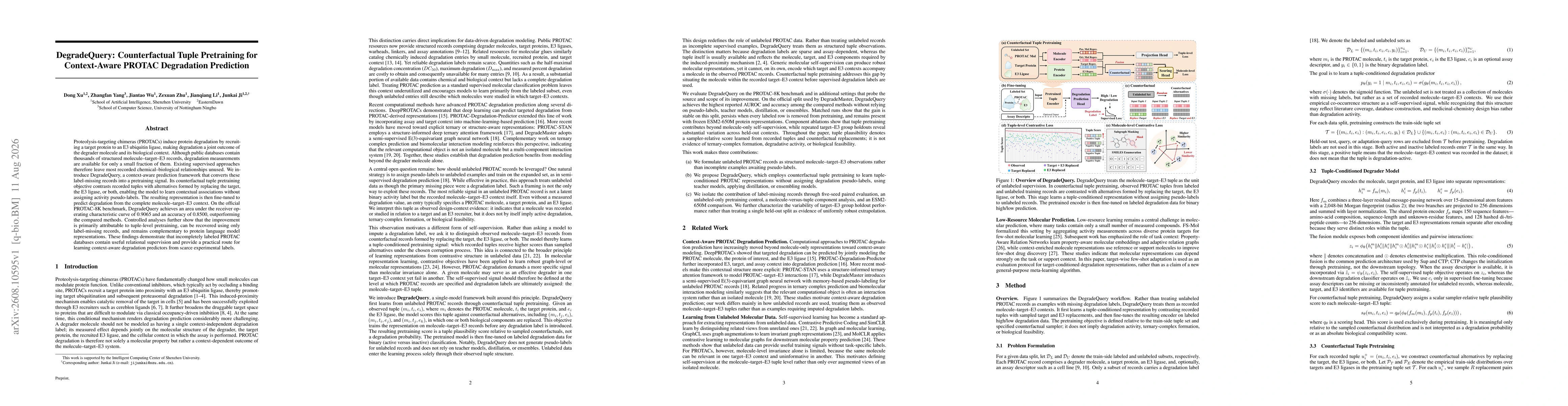 Thumbnail for DegradeQuery: Counterfactual Tuple Pretraining for Context-Aware PROTAC Degradation Prediction