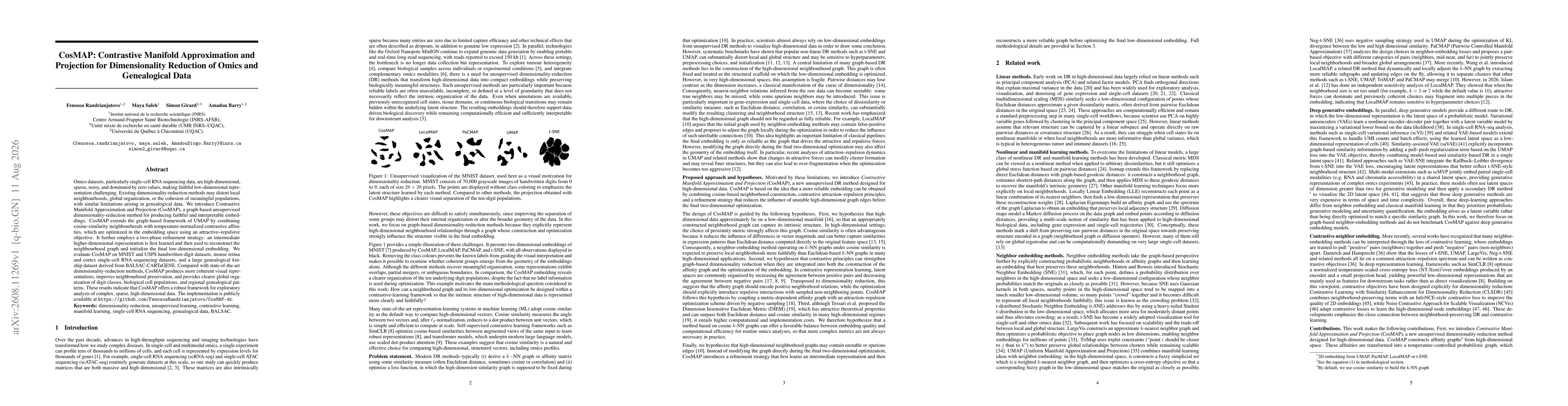 Thumbnail for CosMAP: Contrastive Manifold Approximation and Projection for Dimensionality Reduction of Omics and Genealogical Data