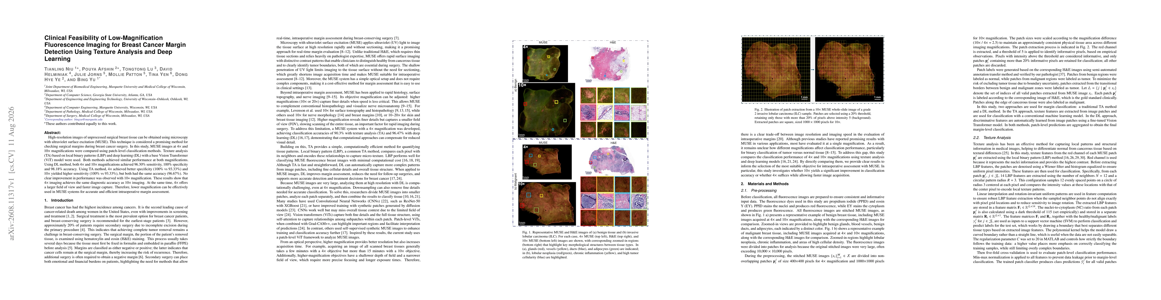 Thumbnail for Clinical Feasibility of Low-Magnification Fluorescence Imaging for Breast Cancer Margin Detection Using Texture Analysis and Deep Learning
