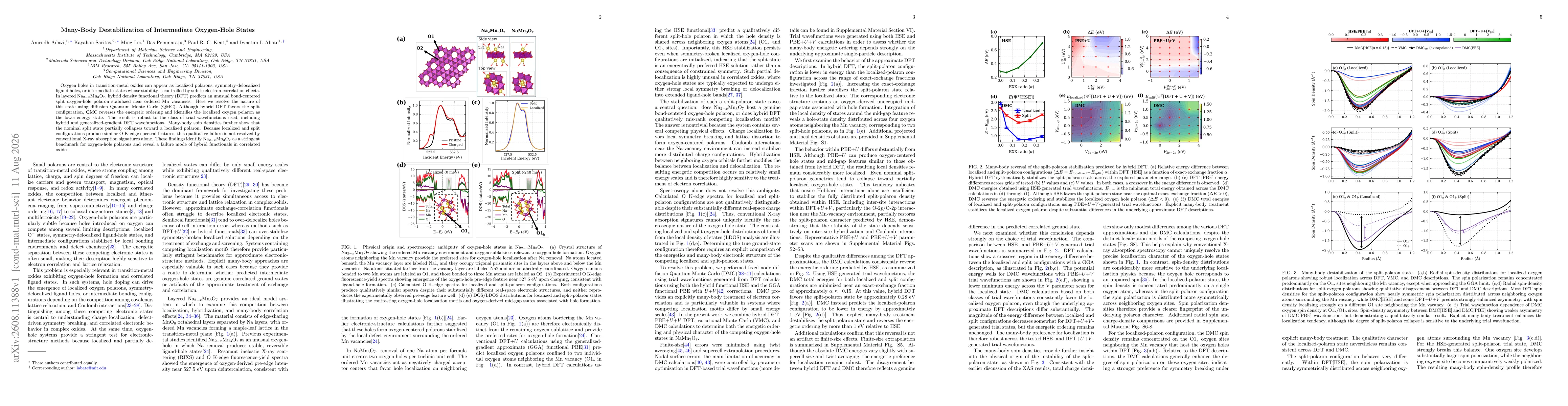 Thumbnail for Many-Body Destabilization of Intermediate Oxygen-Hole States