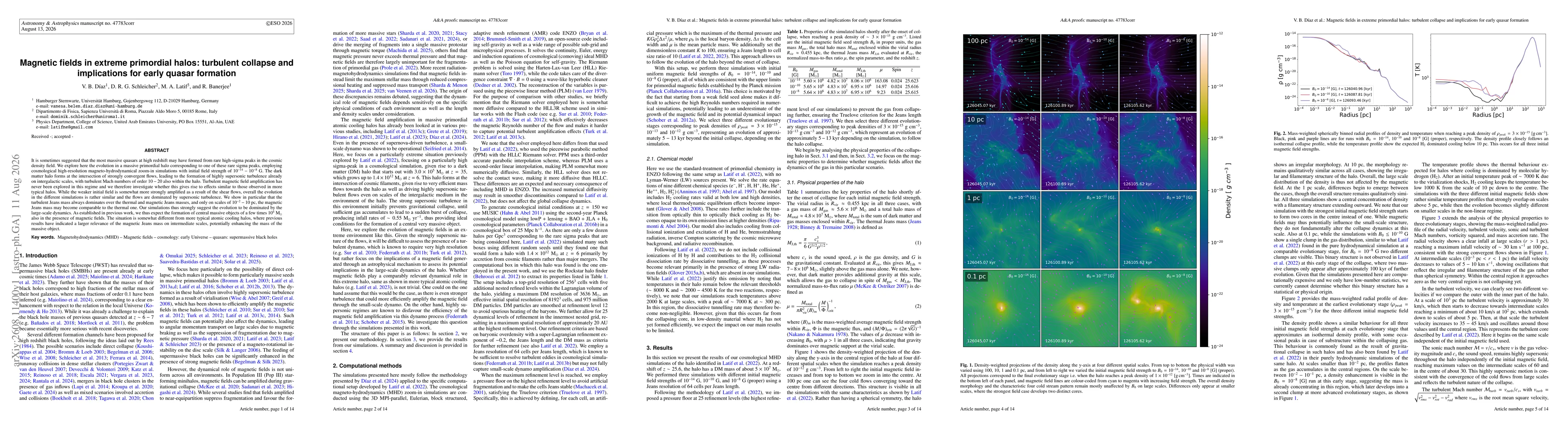 Thumbnail for Magnetic fields in extreme primordial halos: turbulent collapse and implications for early quasar formation