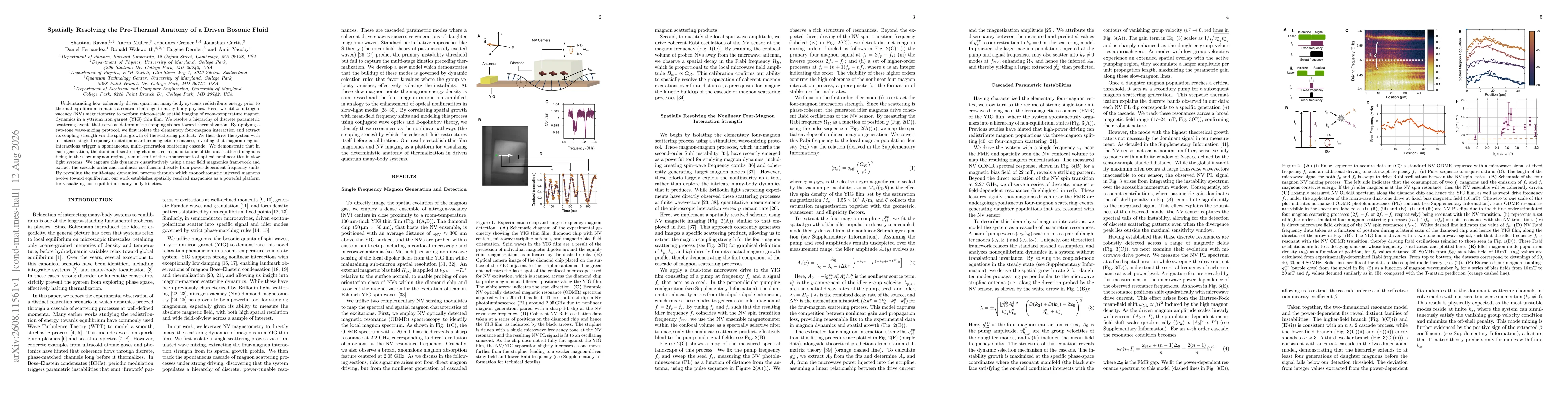 Thumbnail for Spatially Resolving the Pre-Thermal Anatomy of a Driven Bosonic Fluid