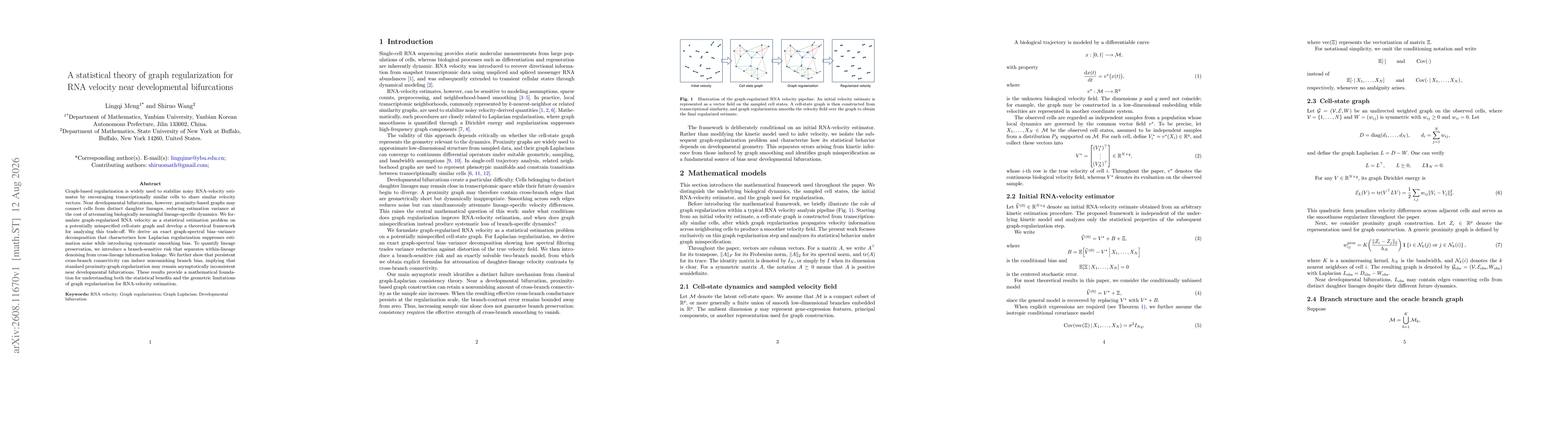Thumbnail for A statistical theory of graph regularization for RNA velocity near developmental bifurcations