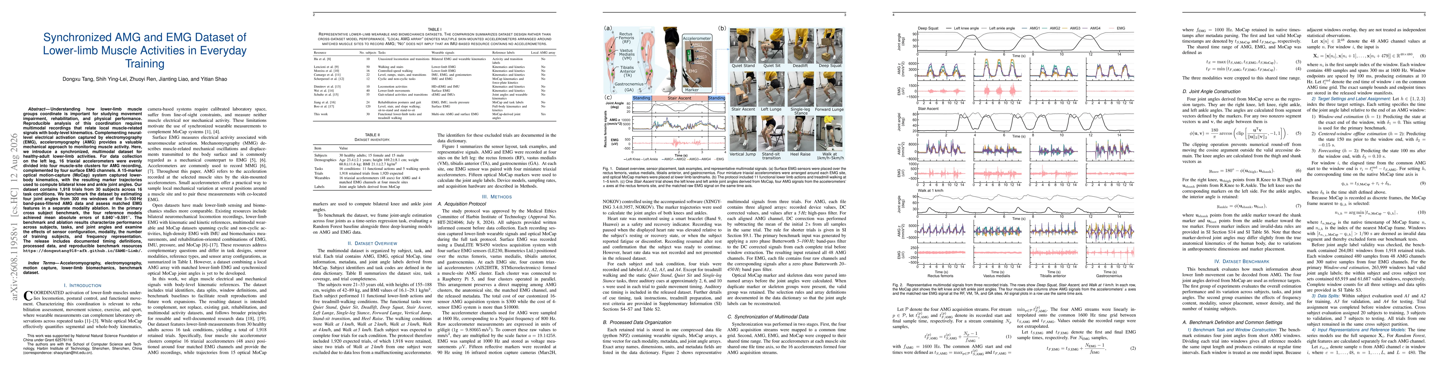 Thumbnail for Synchronized AMG and EMG Dataset of Lower-limb Muscle Activities in Everyday Training