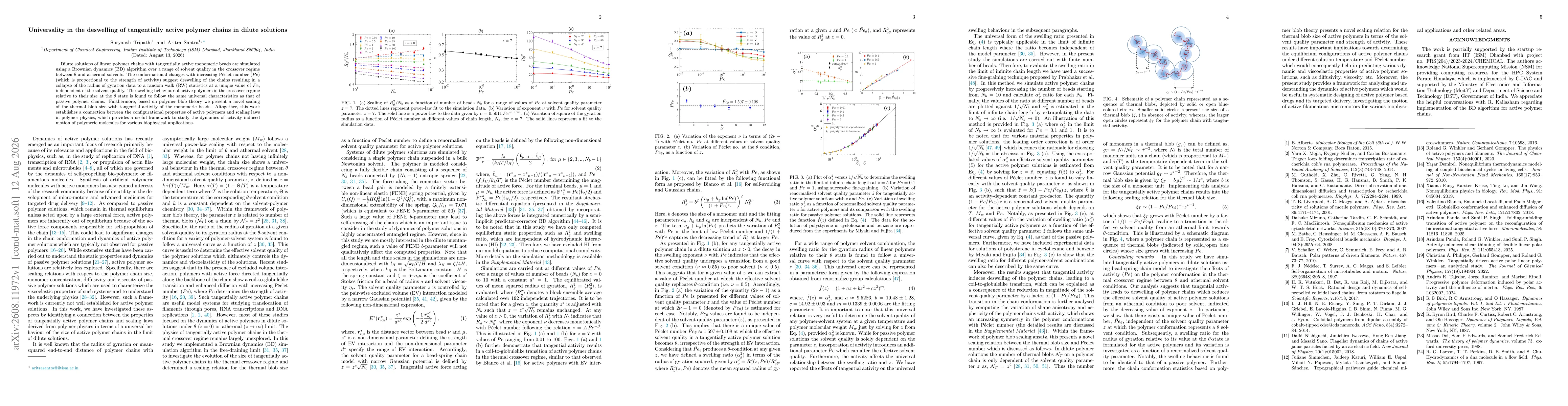 Thumbnail for Universality in the deswelling of tangentially active polymer chains in dilute solutions