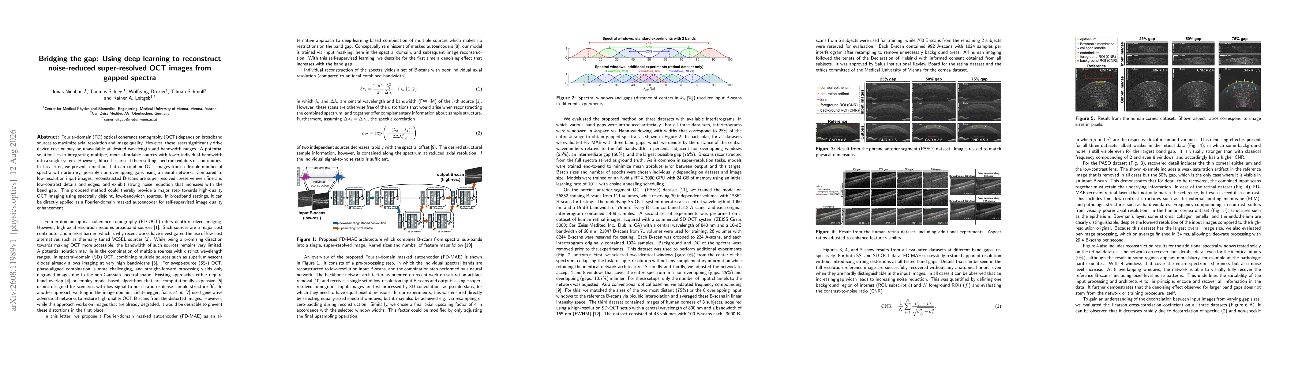 Thumbnail for Bridging the gap: Using deep learning to reconstruct noise-reduced super-resolved OCT images from gapped spectra