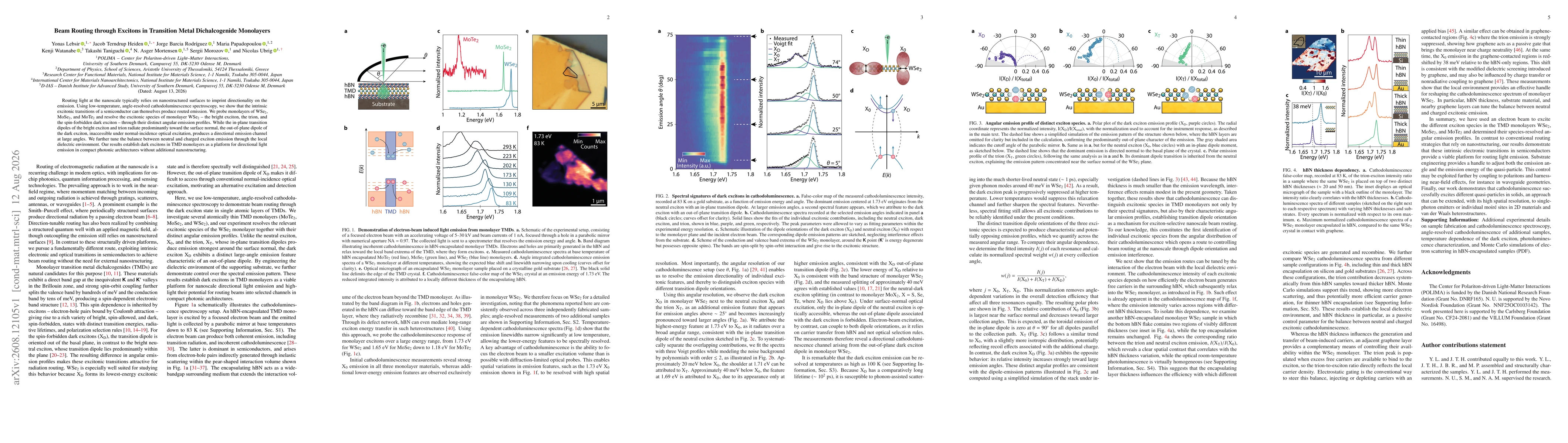 Thumbnail for Beam Routing through Excitons in Transition Metal Dichalcogenide Monolayers