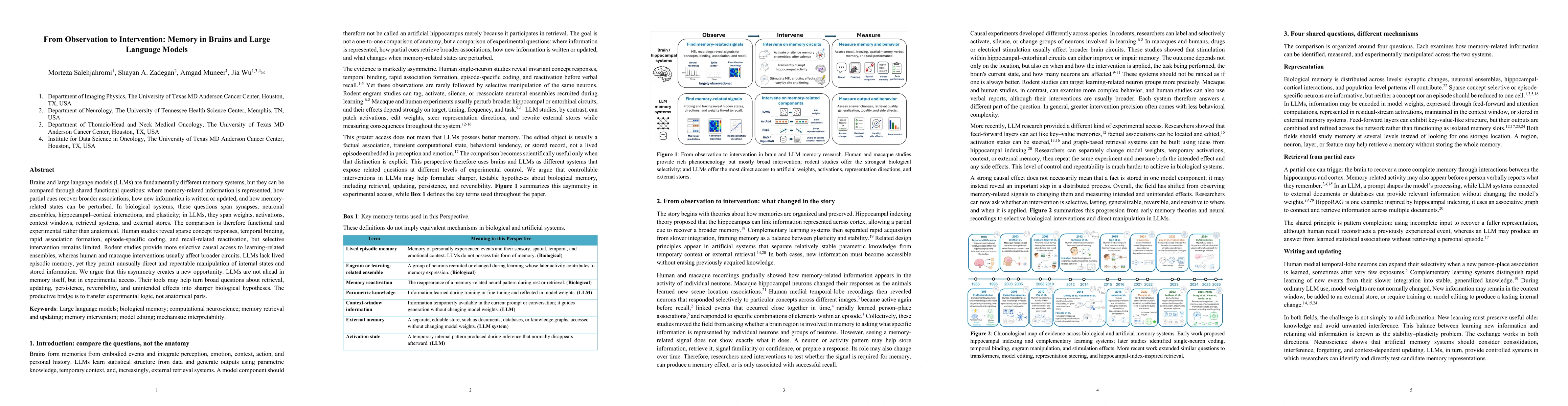 Thumbnail for From Observation to Intervention: Memory in Brains and Large Language Models