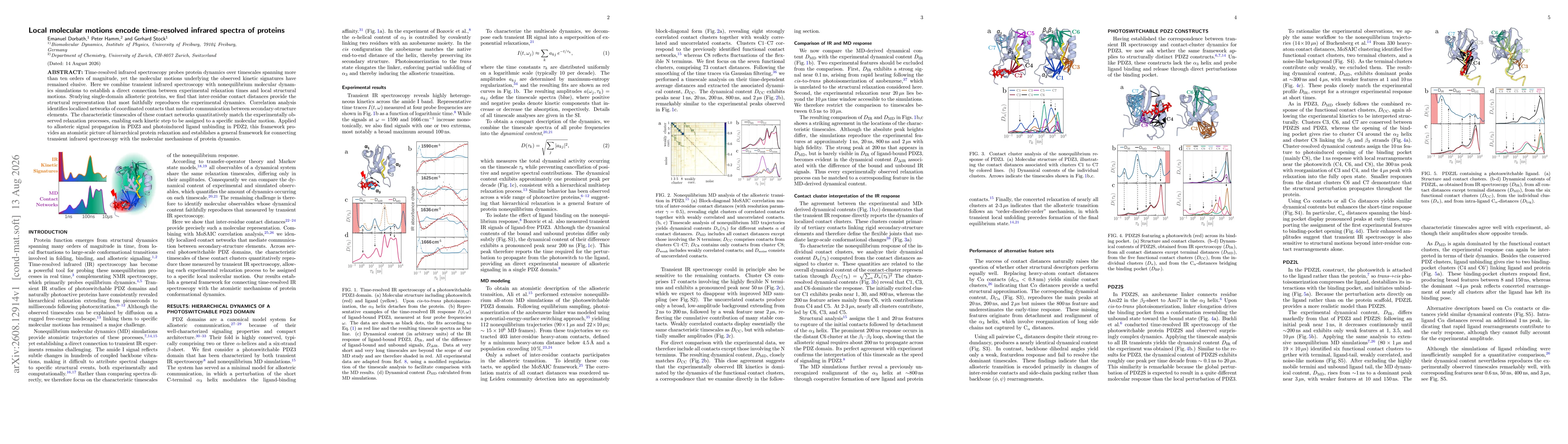 Thumbnail for Local molecular motions encode time-resolved infrared spectra of proteins