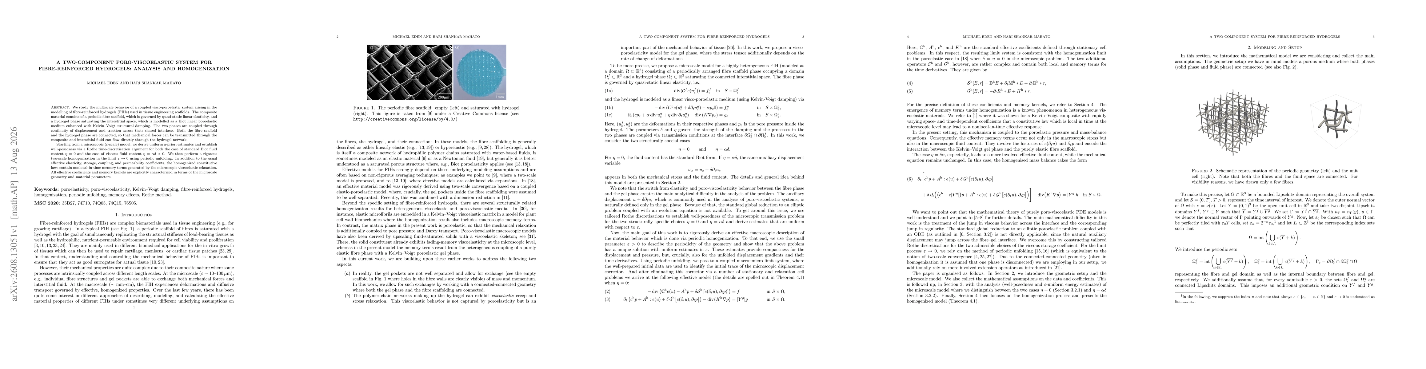 Thumbnail for A Two-Component Poro-viscoelastic System for Fibre-Reinforced Hydrogels: Analysis and Homogenization