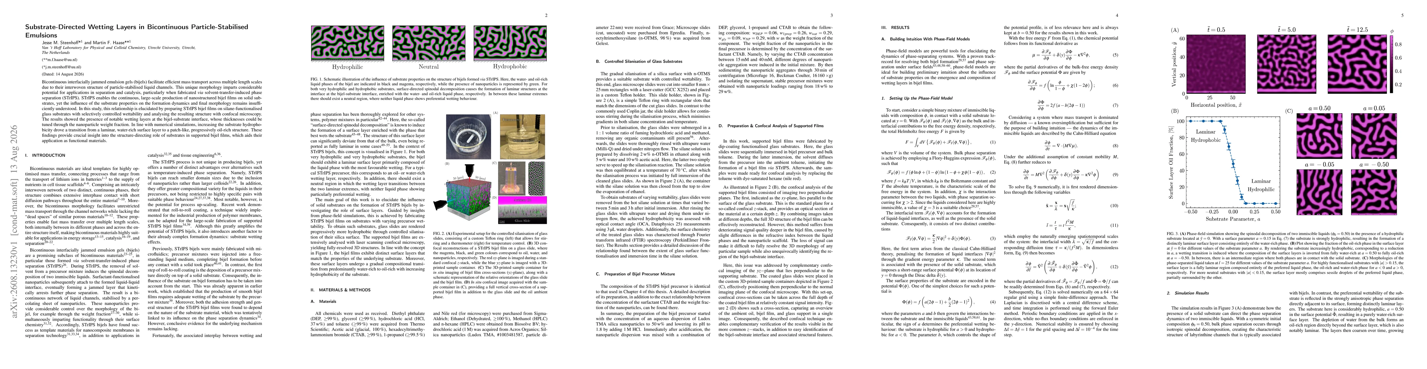 Thumbnail for Substrate-Directed Wetting Layers in Bicontinuous Particle-Stabilised Emulsions