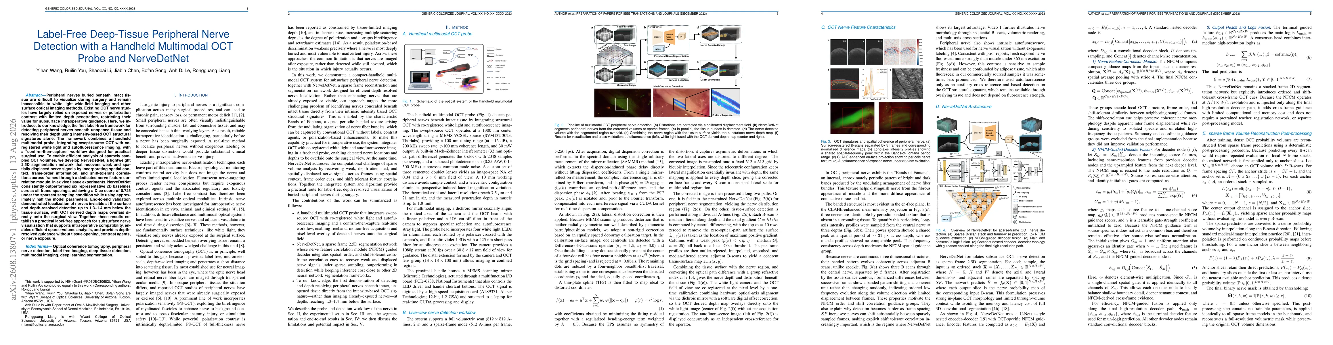 Thumbnail for Label-Free Deep-Tissue Peripheral Nerve Detection with a Handheld Multimodal OCT Probe and NerveDetNet