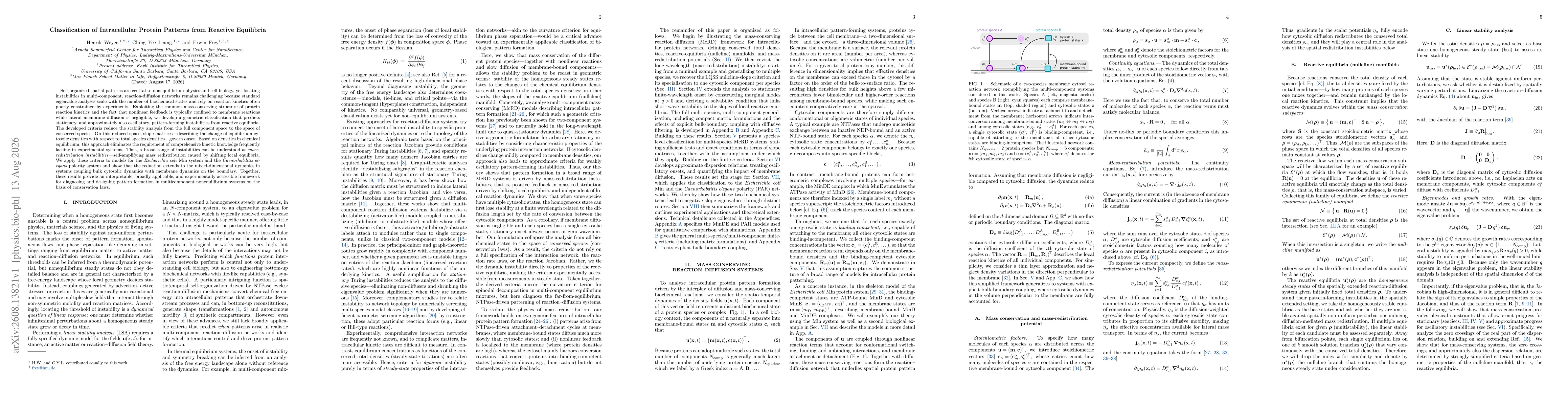 Thumbnail for Classification of Intracellular Protein Patterns from Reactive Equilibria