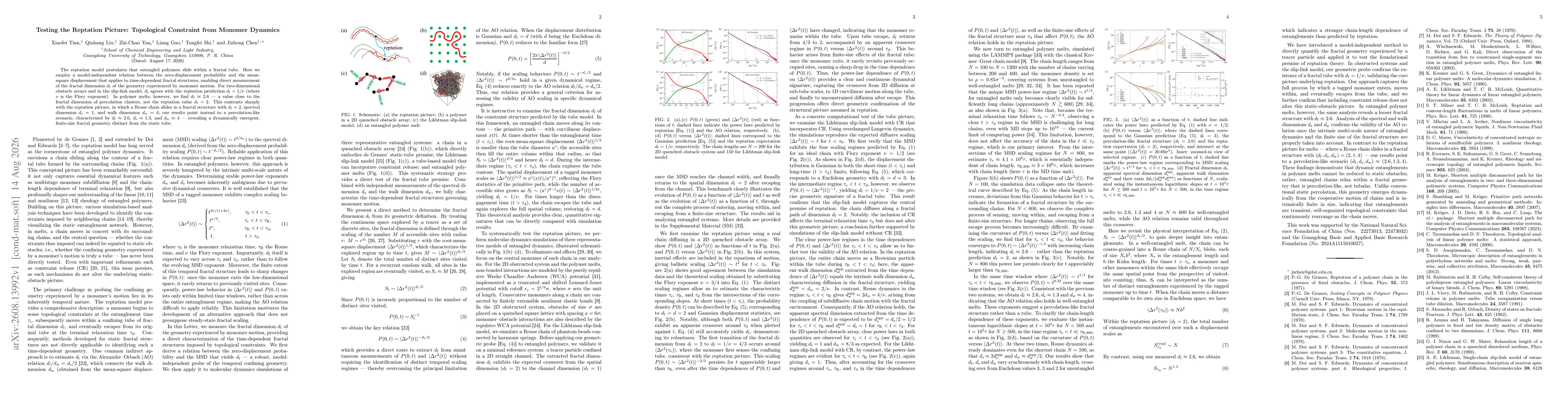 Thumbnail for Testing the Reptation Picture: Topological Constraint from Monomer Dynamics