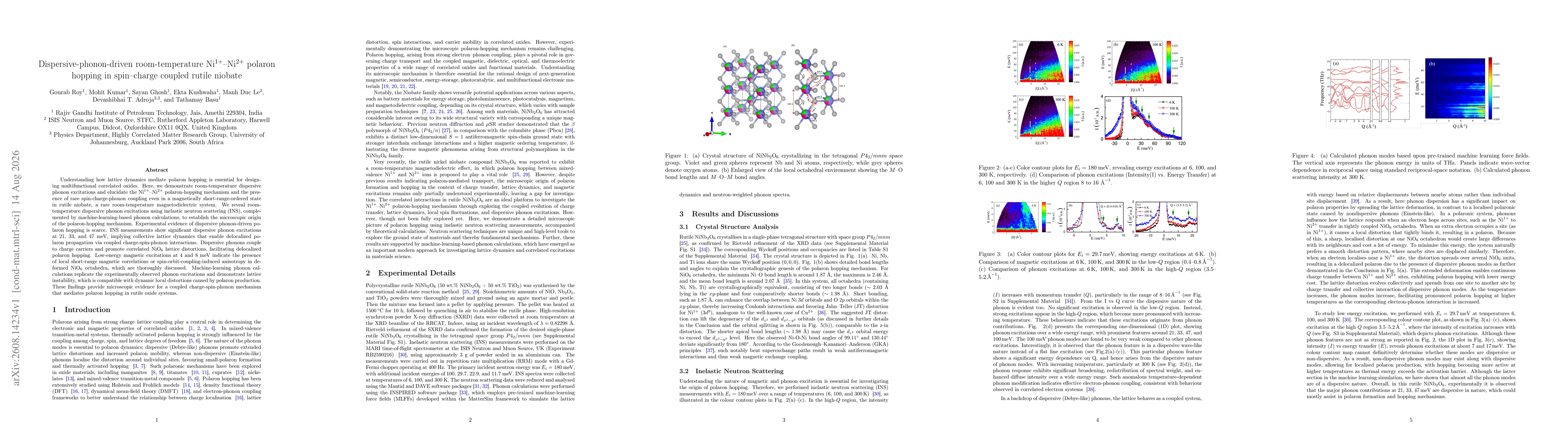 Thumbnail for Dispersive-phonon-driven room-temperature Ni1+-Ni2+ polaron hopping in spin-charge coupled rutile niobate