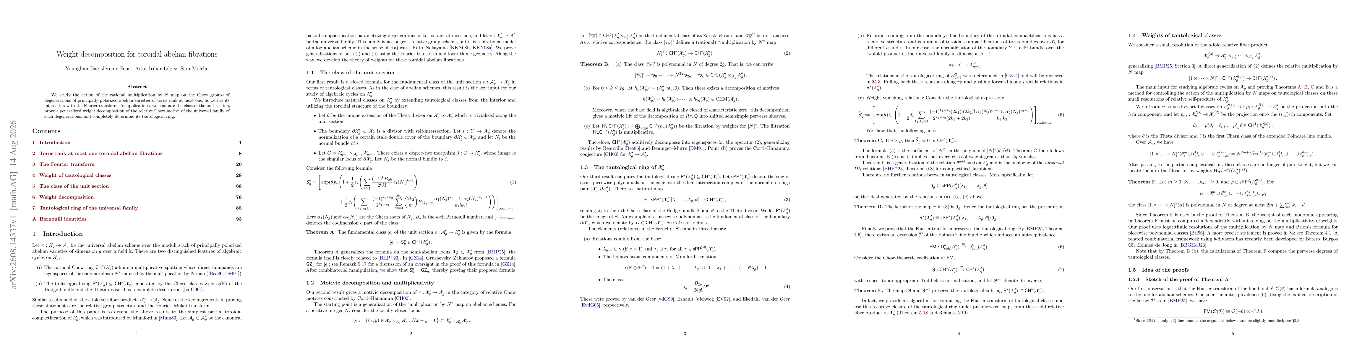 Thumbnail for Weight decomposition for toroidal abelian fibrations