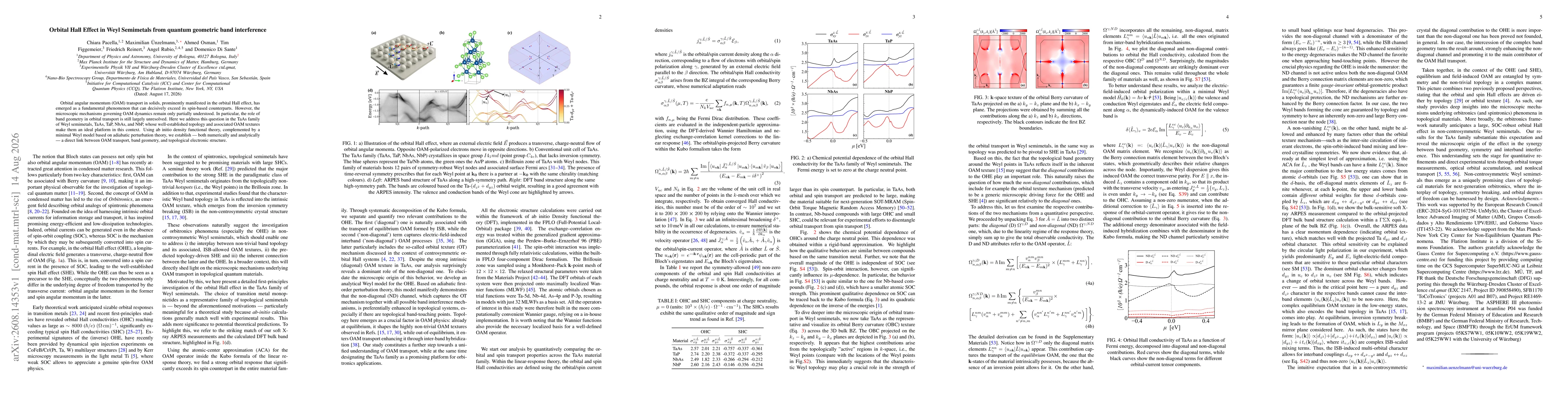Thumbnail for Orbital Hall Effect in Weyl Semimetals from quantum geometric band interference