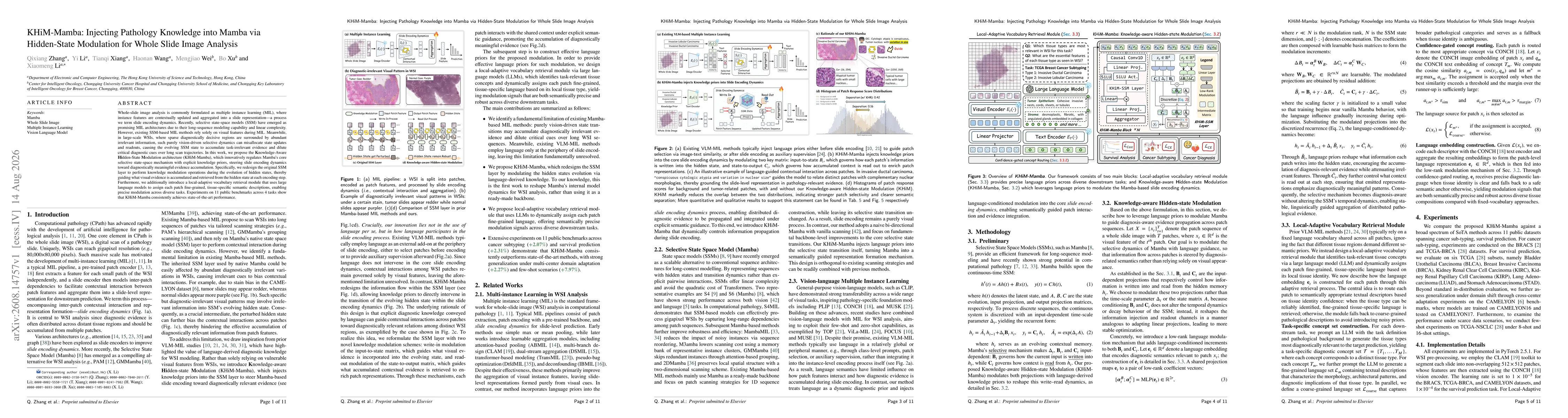 Thumbnail for KHiM-Mamba: Injecting Pathology Knowledge into Mamba via Hidden-State Modulation for Whole Slide Image Analysis