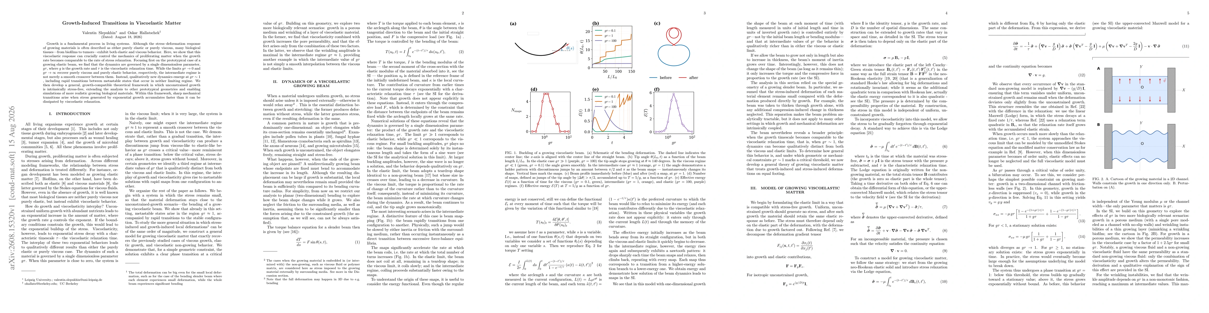 Thumbnail for Growth-Induced Transitions in Viscoelastic Matter