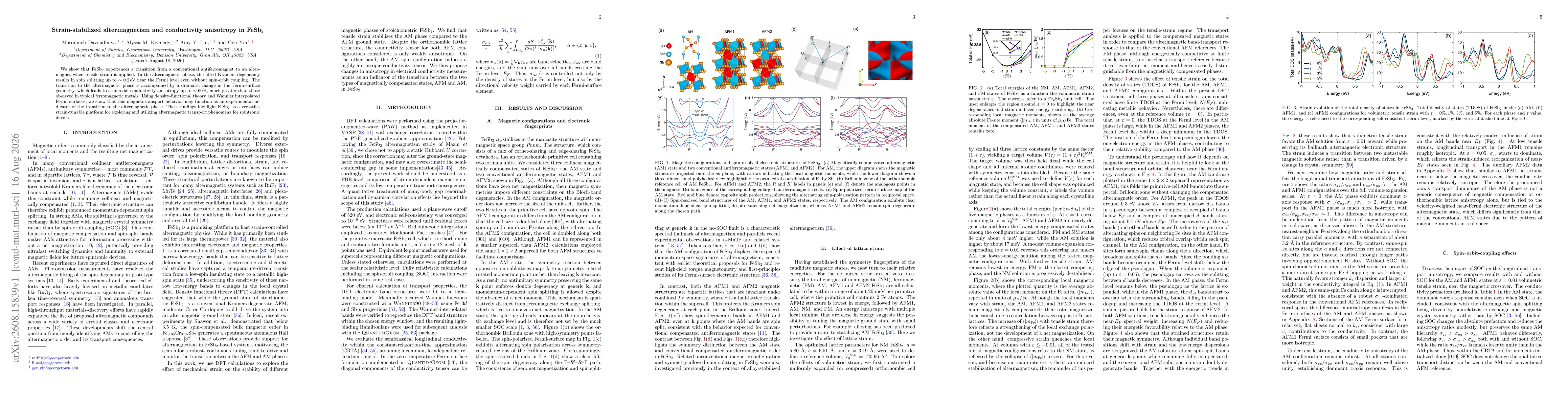 Thumbnail for Strain-stabilized altermagnetism and conductivity anisotropy in FeSb2