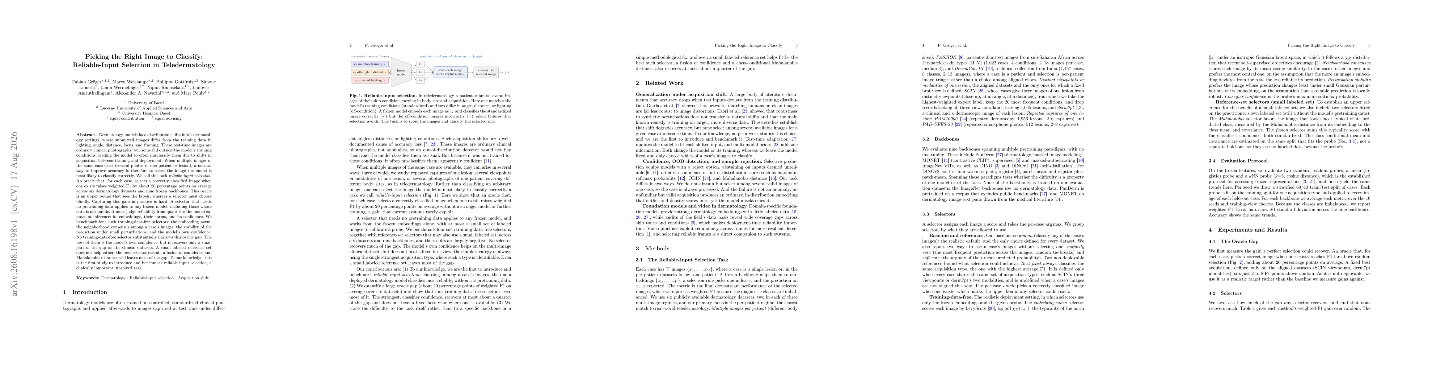 Thumbnail for Picking the Right Image to Classify: Reliable-Input Selection in Teledermatology