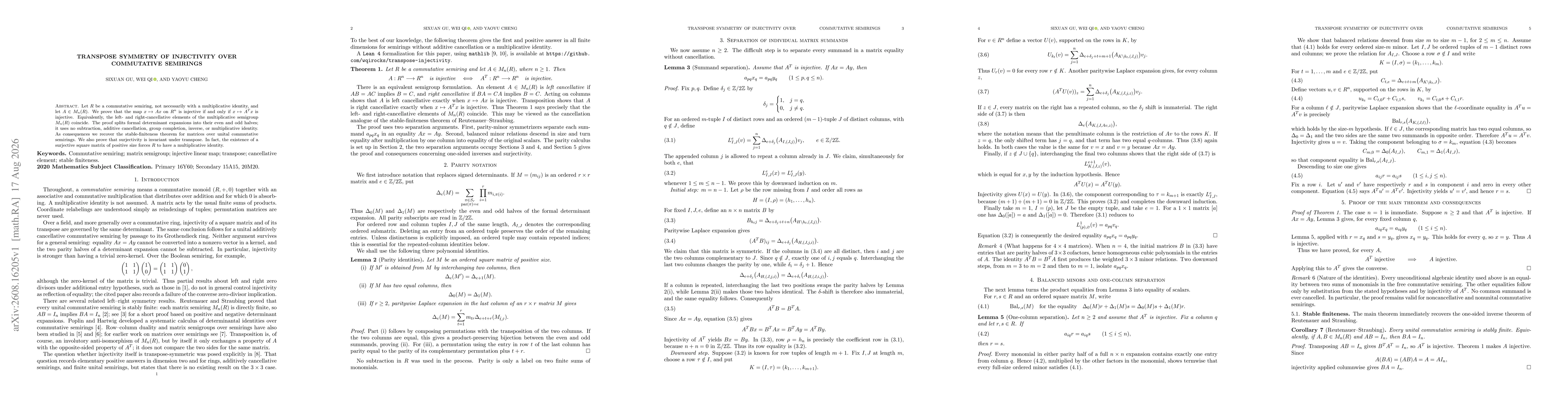 Thumbnail for Transpose Symmetry of Injectivity over Commutative Semirings