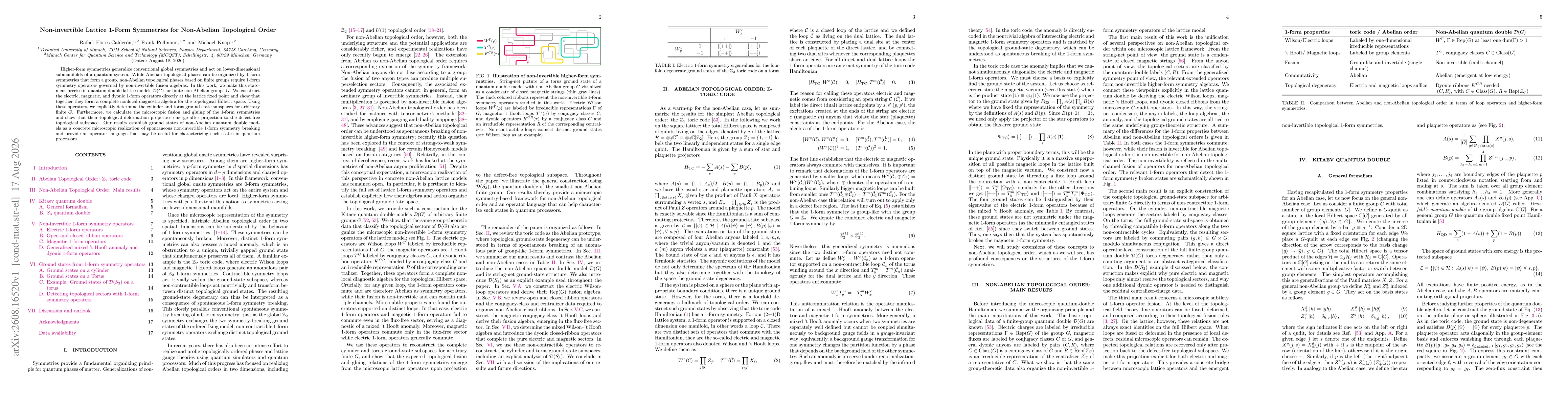 Thumbnail for Non-invertible Lattice 1-Form Symmetries for Non-Abelian Topological Order