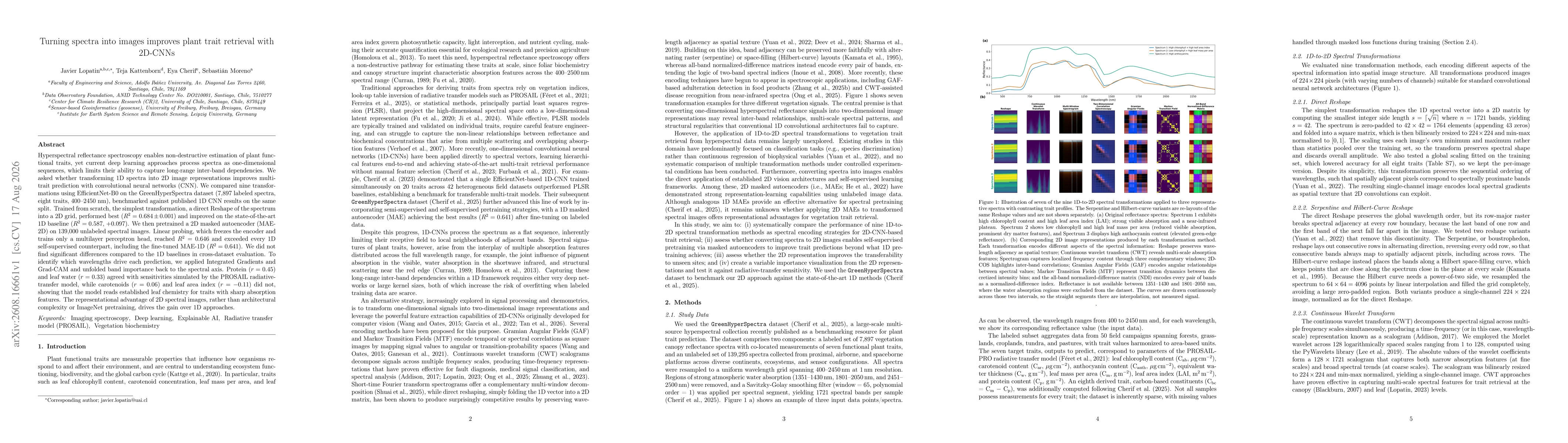 Thumbnail for Turning spectra into images improves plant trait retrieval with 2D-CNNs