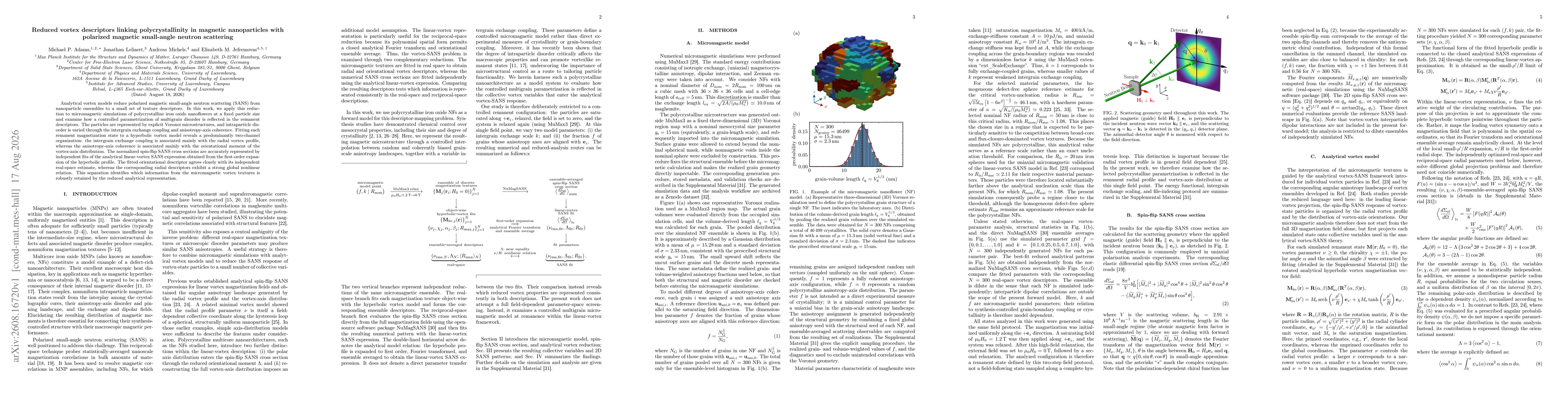 Thumbnail for Reduced vortex descriptors linking polycrystallinity in magnetic nanoparticles with polarized magnetic small-angle neutron scattering