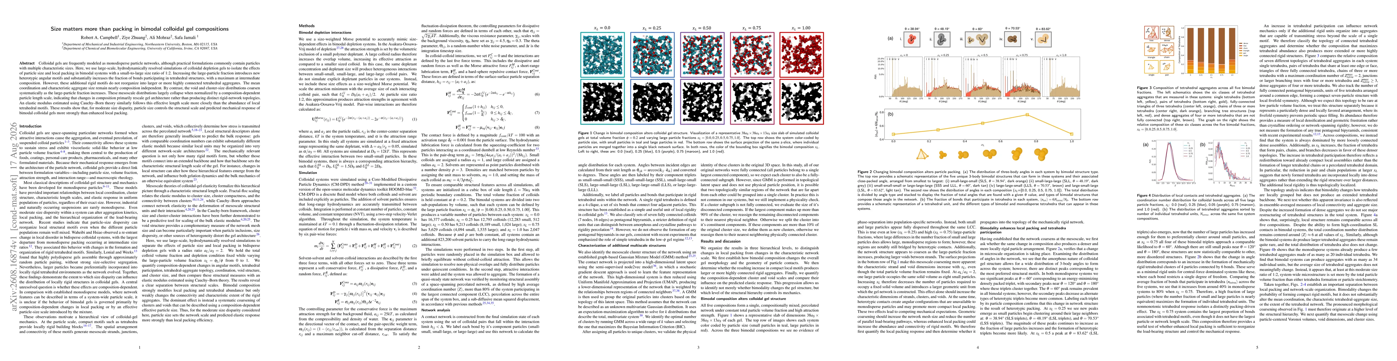 Thumbnail for Size matters more than packing in bimodal colloidal gel compositions