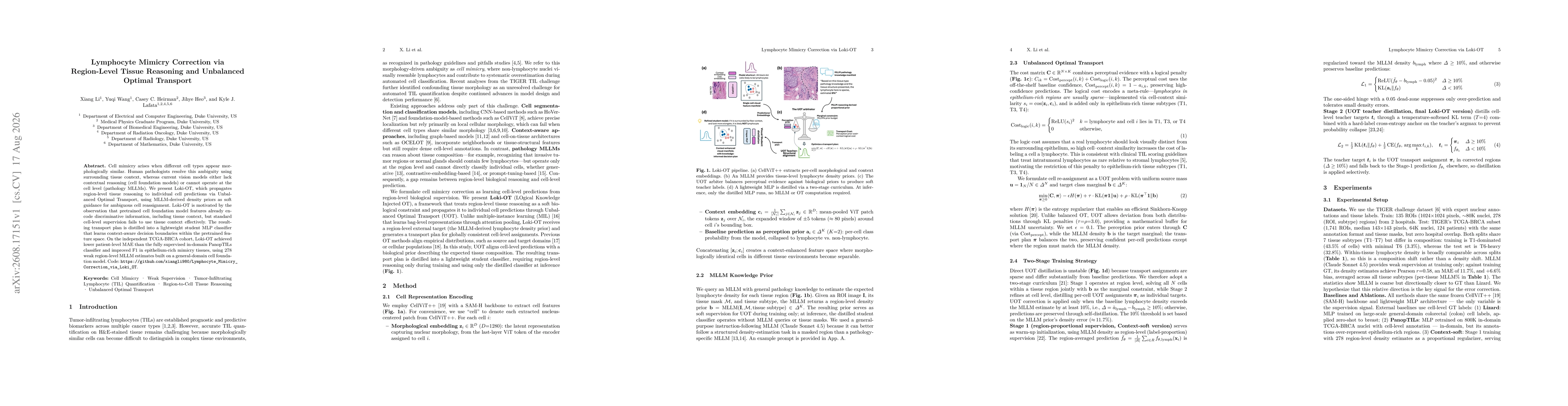 Thumbnail for Lymphocyte Mimicry Correction via Region-Level Tissue Reasoning and Unbalanced Optimal Transport