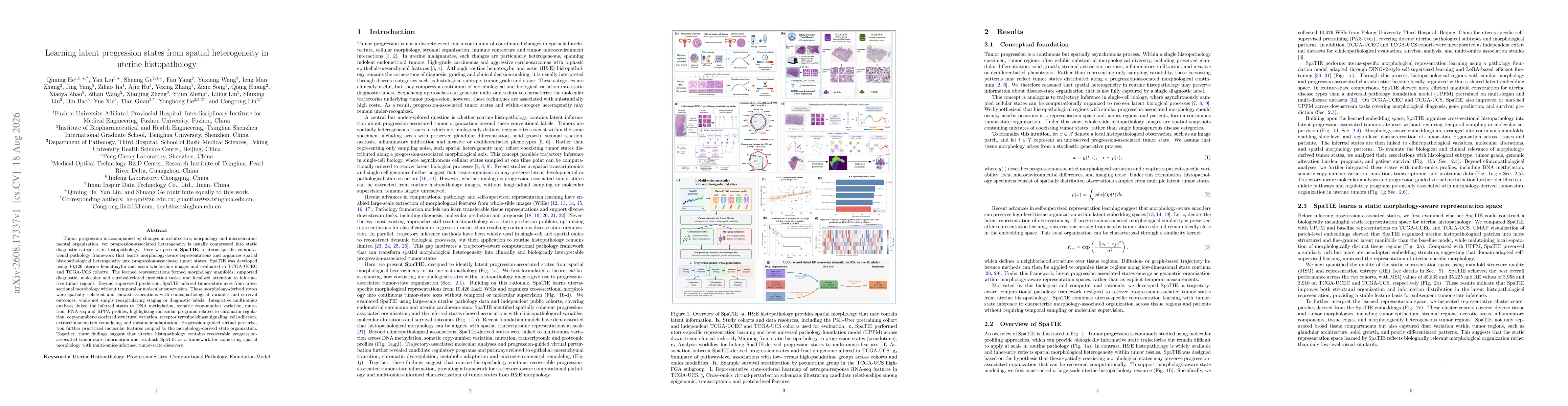 Thumbnail for Learning latent progression states from spatial heterogeneity in uterine histopathology