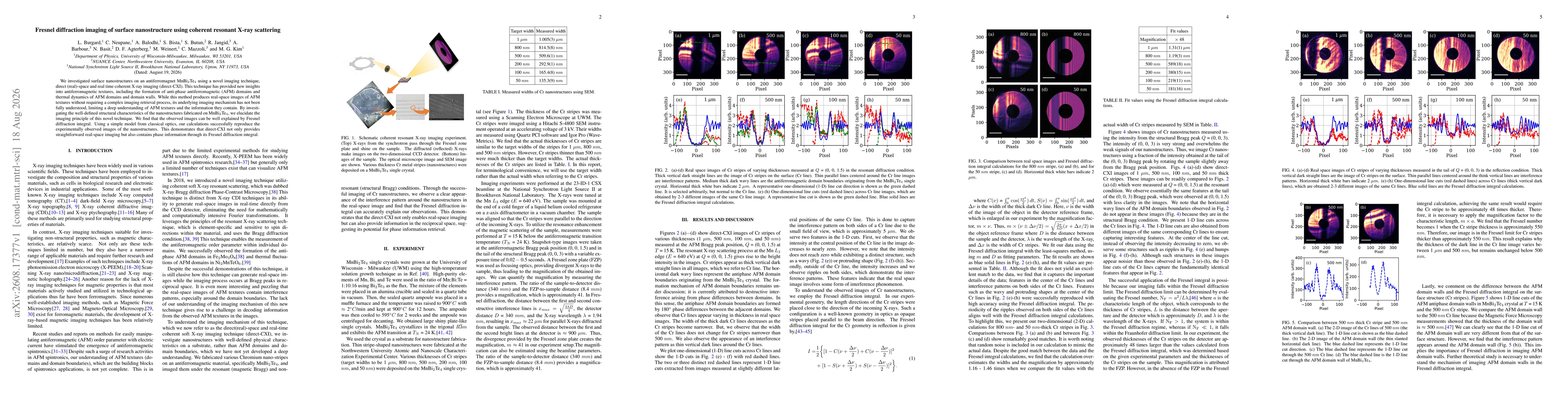 Thumbnail for Fresnel diffraction imaging of surface nanostructure using coherent resonant X-ray scattering