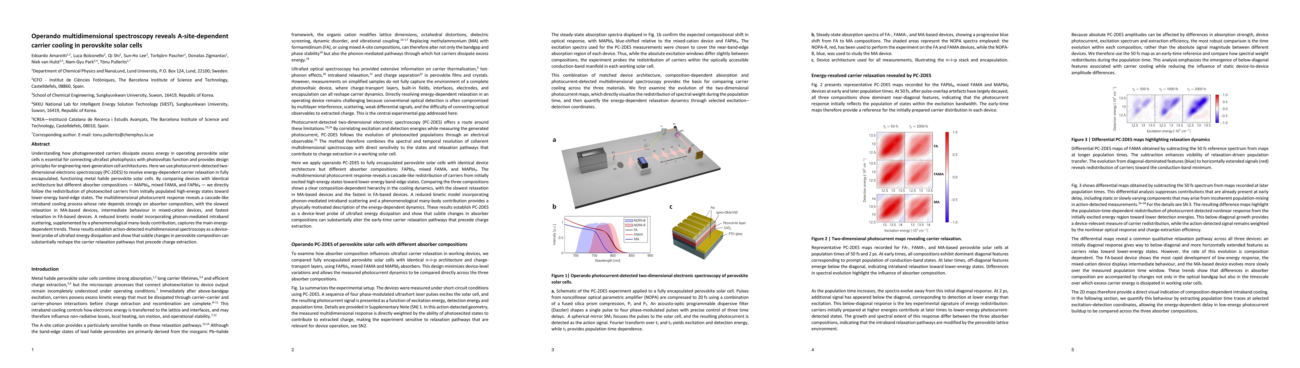Thumbnail for Operando multidimensional spectroscopy reveals A-site-dependent carrier cooling in perovskite solar cells