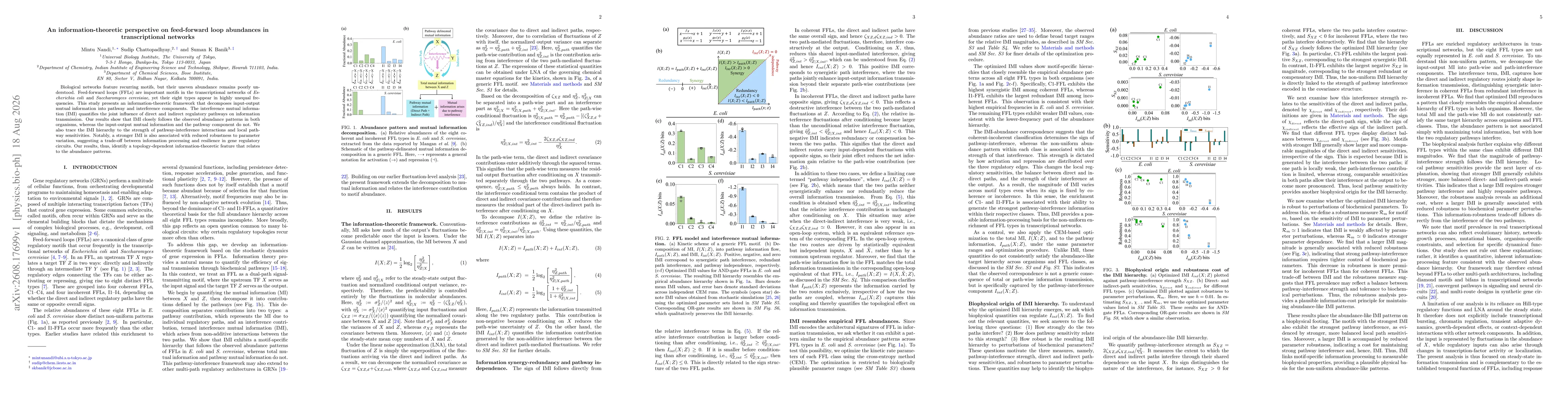 Thumbnail for An information-theoretic perspective on feed-forward loop abundances in transcriptional networks