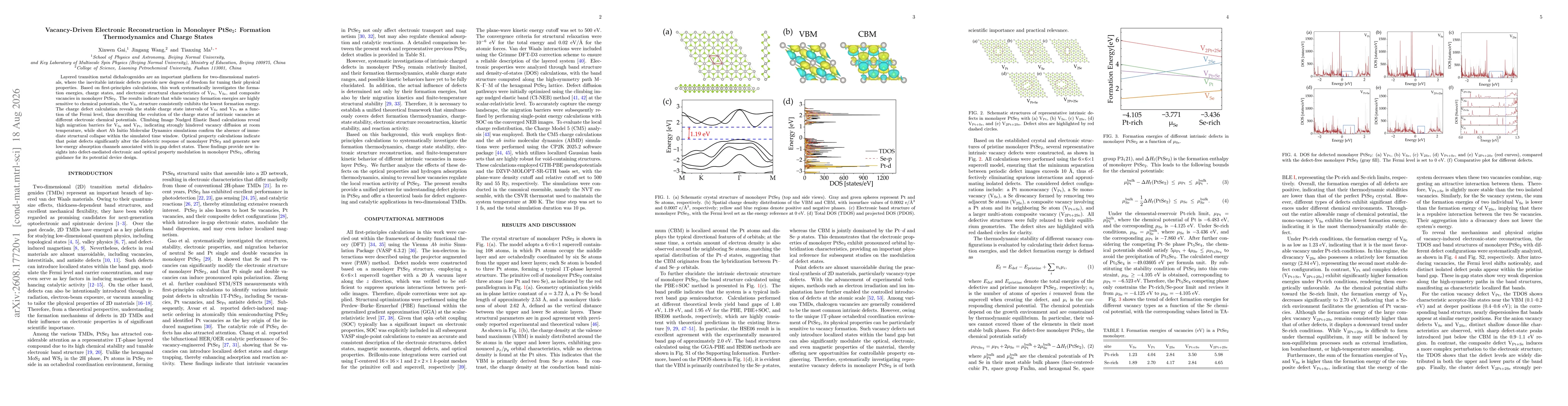 Thumbnail for Vacancy-Driven Electronic Reconstruction in Monolayer PtSe$_2$: Formation Thermodynamics and Charge States